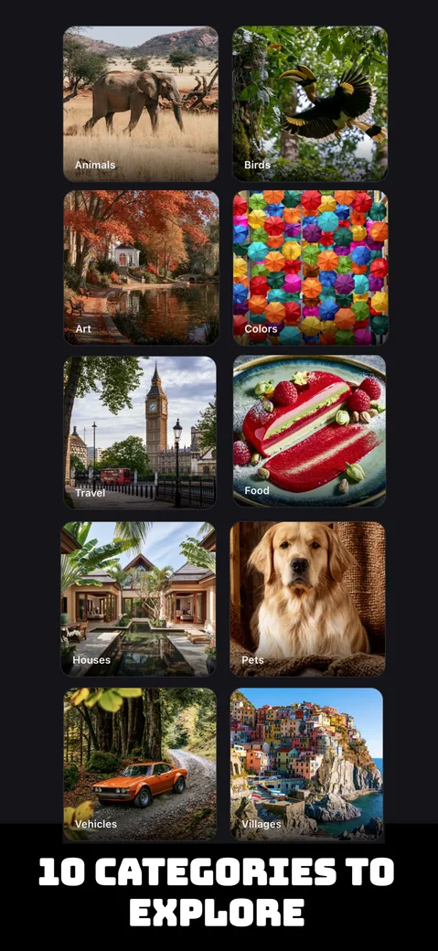 Grid of all 10 puzzle categories to explore, including Animals, Birds, Art, Food, and Travel