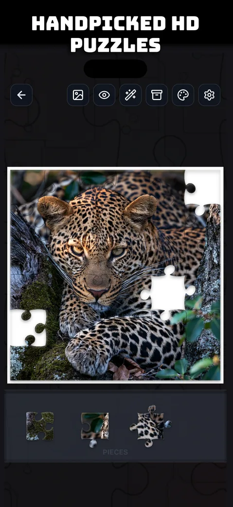 Handpicked HD puzzle photography, shown with a leopard portrait puzzle